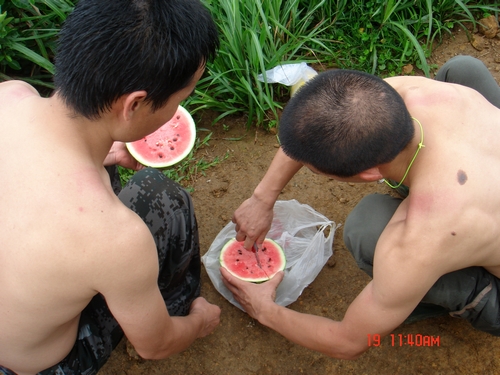 红兴和老徐在为大家杀西瓜，这个西瓜是一生买的，大家一致满分评价：相当不错！ ...